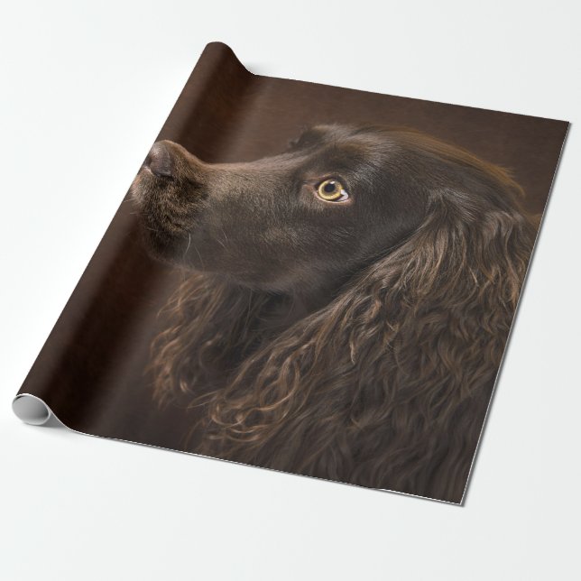 Braunhaarhund Geschenkpapier (Ungerollt)