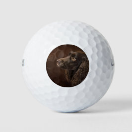 Braunhaarhund Golfball