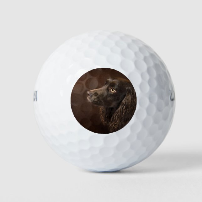 Braunhaarhund Golfball (Vorderseite)
