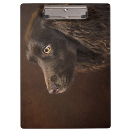 Braunhaarhund Klemmbrett