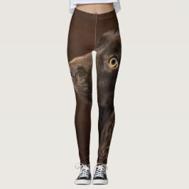 Braunhaarhund Leggings
