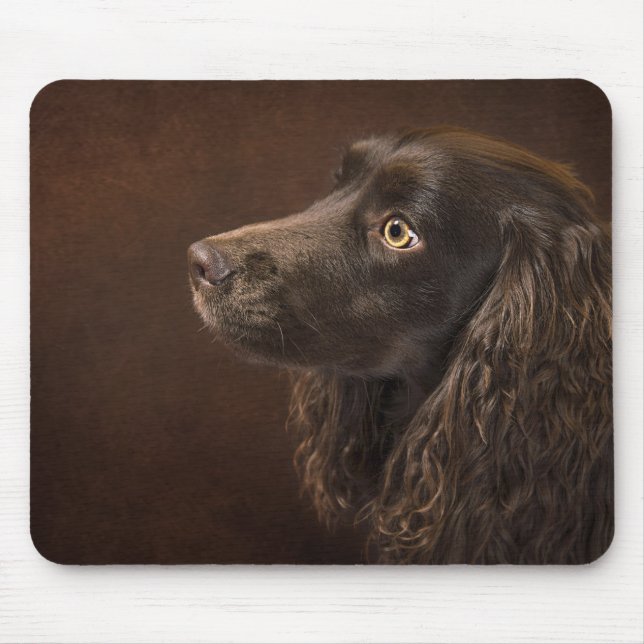 Braunhaarhund Mousepad (Vorne)
