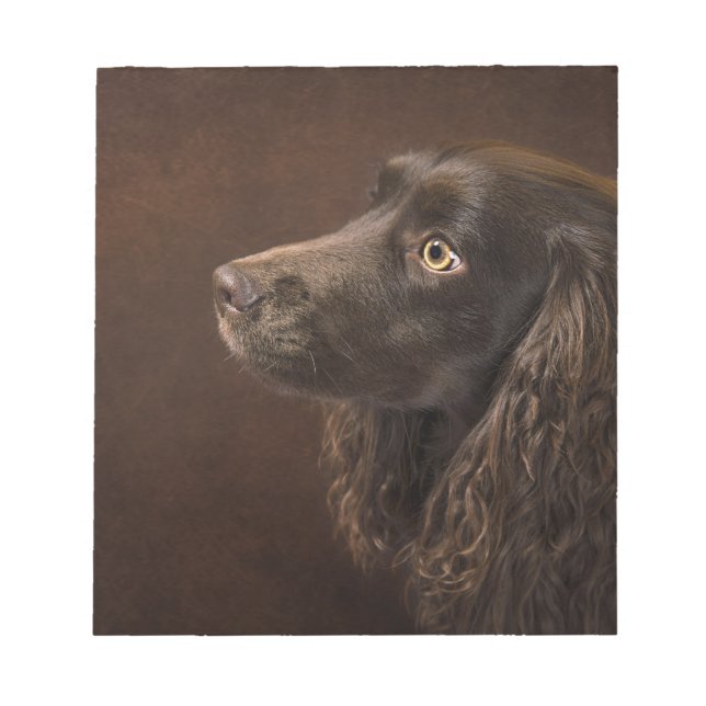 Braunhaarhund Notizblock (Vorderseite)