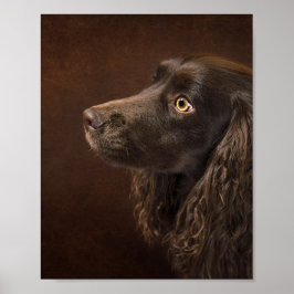 Braunhaarhund Poster