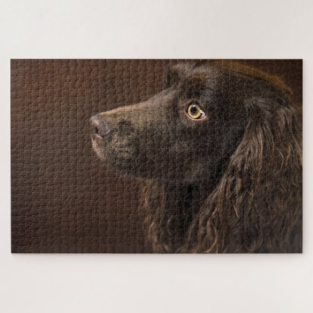 Braunhaarhund Puzzle (Horizontal)