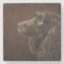 Braunhaarhund Steinuntersetzer