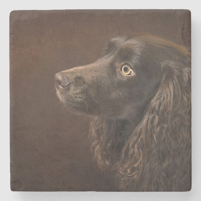 Braunhaarhund Steinuntersetzer (Vorderseite)