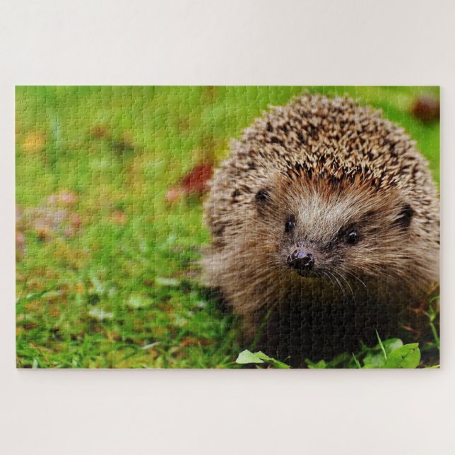 Braunhegdehos auf Gras Puzzle (Horizontal)