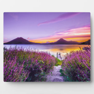 Braunhölzern zwischen Lavendelfeld und Blume Fotoplatte