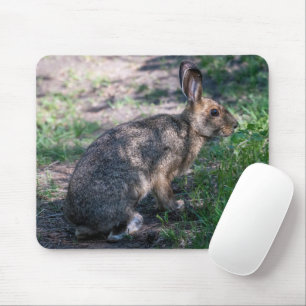 Braunkaninchen, Ruhen in der Natur Mousepad