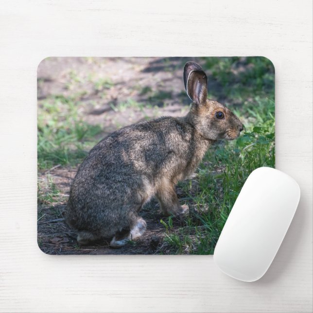 Braunkaninchen, Ruhen in der Natur Mousepad (Mit Mouse)