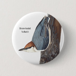 Braunkopfatch, Audubon, Vogelbeobachter Bird Wear, Button