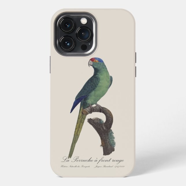 Braunkopfsittich, Eupsittula Canicularis iPhone Hülle (Rückseite)