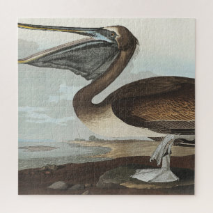 Braunpelikan aus Birds of America Puzzle