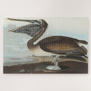 Braunpelikan aus Birds of America Puzzle