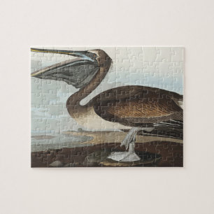 Braunpelikan aus Birds of America Puzzle