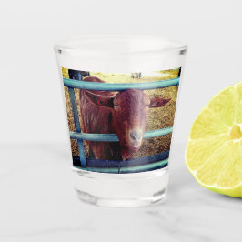 Braunziege Schnapsglas