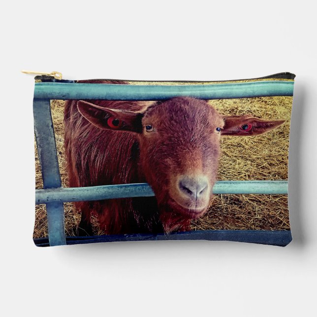 Braunziege Zubehörtasche (Vorderseite)