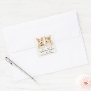 Braut und Bräutigam Corgi Hochzeit Danke Lustig Br Quadratischer Aufkleber