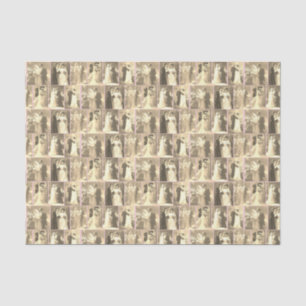 Brautkleid Vintage Braut Bräutigam auf rosafarbene Seidenpapier