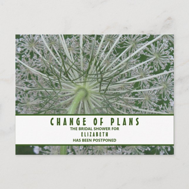 Brautparty-Änderung von Plänen Königin Anne's Lace Postkarte (Vorderseite)