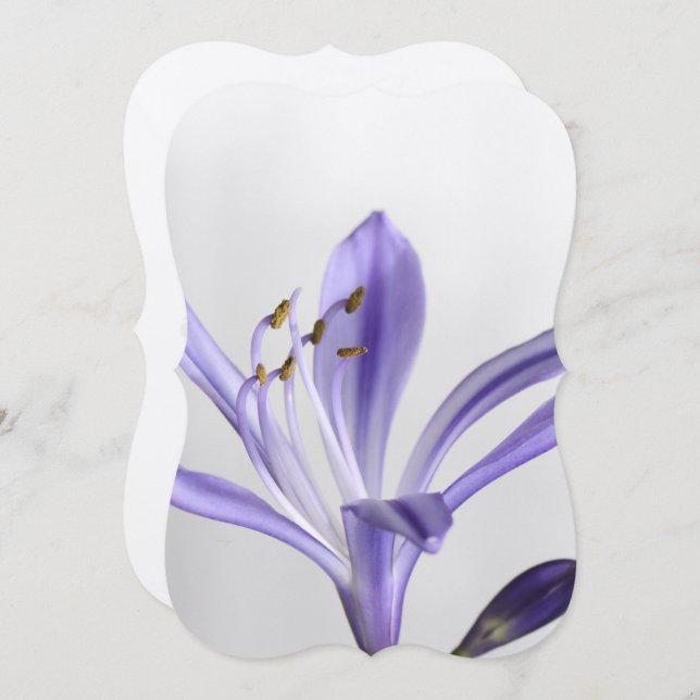 Brautparty Party Destiny's Destiny Einladung (Vorne/Hinten)