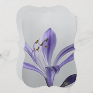 Brautparty Party Destiny's Destiny Einladung