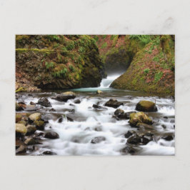 Brautschleier fällt Oregon-Wasserfall-Postkarte Postkarte