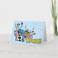 Bravo - skydive Tandem