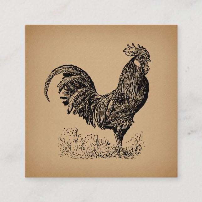 Brawn Antique Rooster Illustration Hühnerart Begleitkarte (Vorderseite)