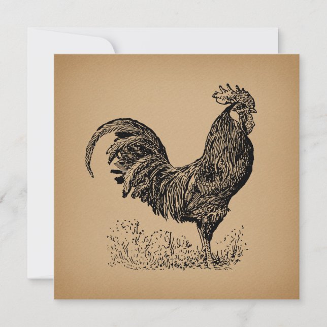 Brawn Antique Rooster Illustration Hühnerart Karte (Vorderseite)