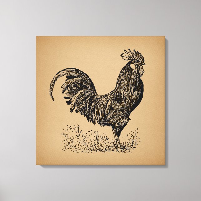 Brawn Antique Rooster Illustration Hühnerart Leinwanddruck (Vorderseite)
