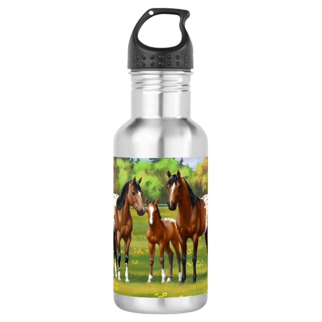 Brawn Bay Appaloosa Pferde im Sommer Weide Edelstahlflasche (Vorderseite)