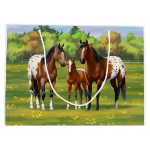 Brawn Bay Appaloosa Pferde im Sommer Weide Große Geschenktüte