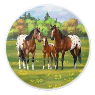 Brawn Bay Appaloosa Pferde im Sommer Weide Keramikknauf
