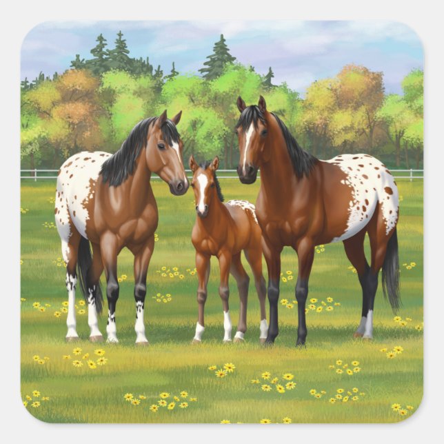Brawn Bay Appaloosa Pferde im Sommer Weide Quadratischer Aufkleber (Vorderseite)