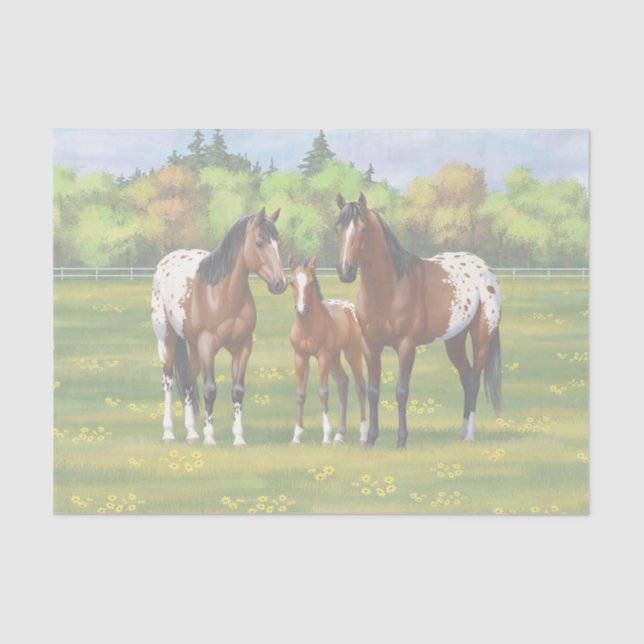 Brawn Bay Appaloosa Pferde im Sommer Weide Seidenpapier (Vorderseite)