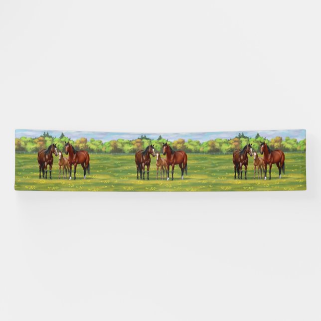 Brawn Bay Quarter Pferde im Sommer Weide Banner (Horizontal)