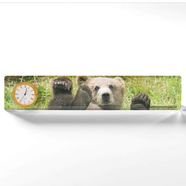 Brawn Bear Kodiak Cub Geschenke Namensplakette (Vorderseite)