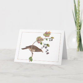 Brawn Bird auf einer farbenfrohen BlackBerry-Zweig Karte