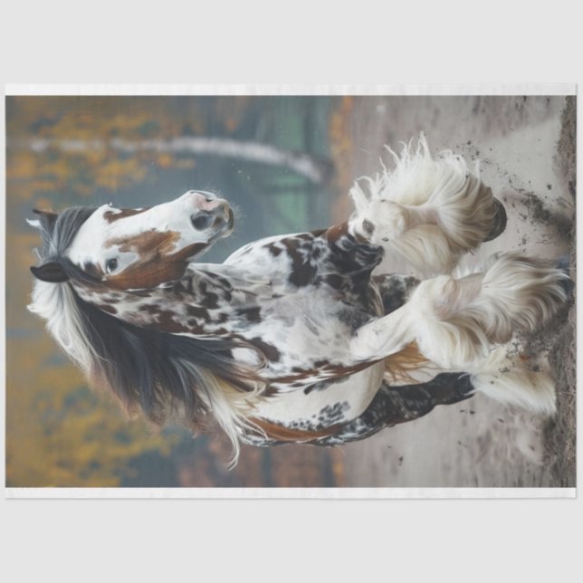 Brawn Black Clydesdale Horse Seidenpapier (Vorderseite)