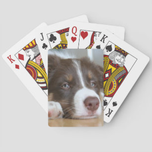 Brawn Border Collie Dog Playing Cards Spielkarten