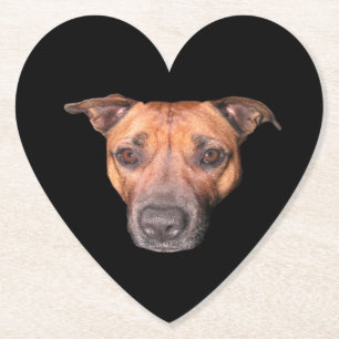 Brawn Brindle Staffordshire Bull Terrier Face, Untersetzer