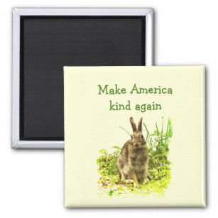 Brawn Bunny Rabbit macht Amerika wieder zum Märche Magnet