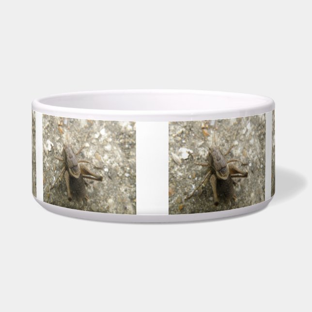 Brawn Field Cricket Dowl Napf (Vorderseite)