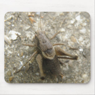 Brawn Field Cricket Mousepad