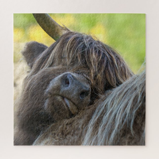 Brawn Highland Cow Puzzle (Vertikal)