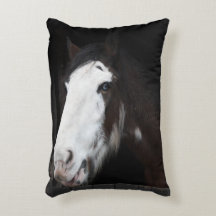 Brawn Horse on Farm Nur ein Mädchen, das Pferde Li