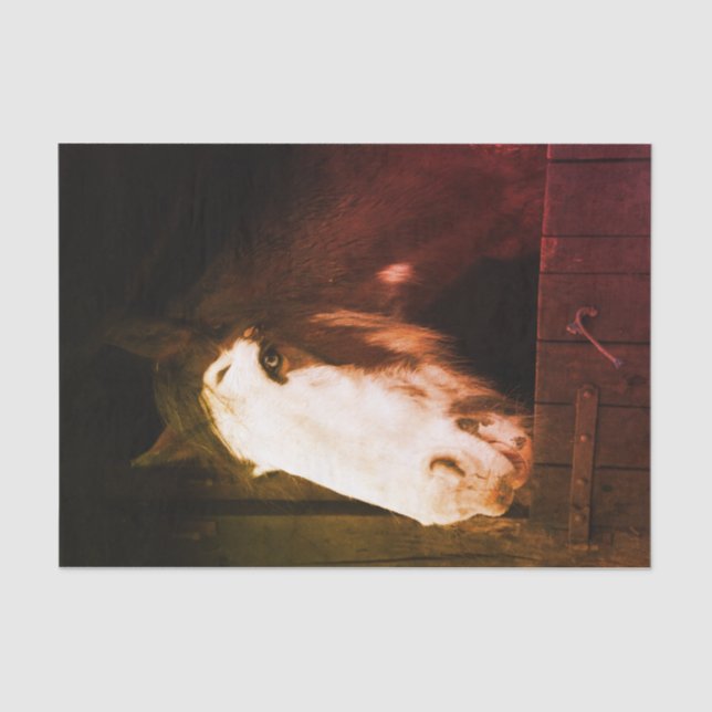 Brawn Horse on Farm Nur ein Mädchen, das Pferde Li Seidenpapier (Vorderseite)