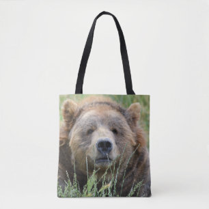 Brawn kodiak Bär